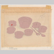 Salad set with tissue overlay (ddr-densho-424-1027)