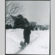 Woman walking dog on snow (ddr-densho-523-328)