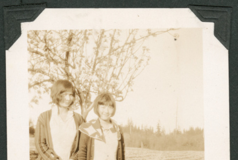 Photo of three girls with plum trees (ddr-densho-483-302)