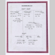 Isoshima family tree (ddr-densho-477-8)