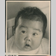 Susan Gail Shiomi (ddr-densho-522-749)