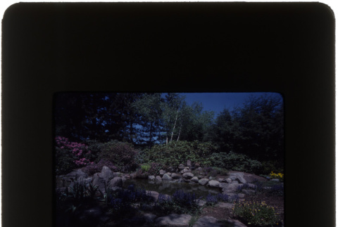 Rock garden and pond (ddr-densho-377-831)
