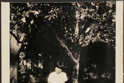 Girl standing in front of trees (ddr-densho-259-6)
