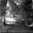 Pond and landscaping (ddr-densho-377-1488)