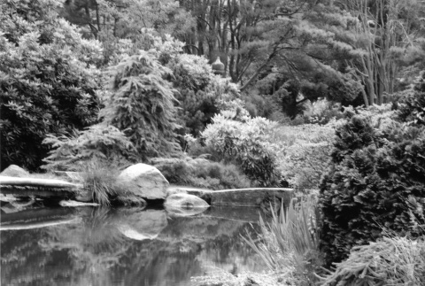 Pond in the Japanese Garden (ddr-densho-354-770)