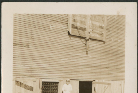 Woman with geese outside barn (ddr-densho-316-221)