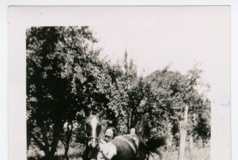 Woman and horse (ddr-densho-313-26)