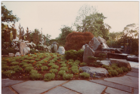Pool landscaping (ddr-densho-377-1777)