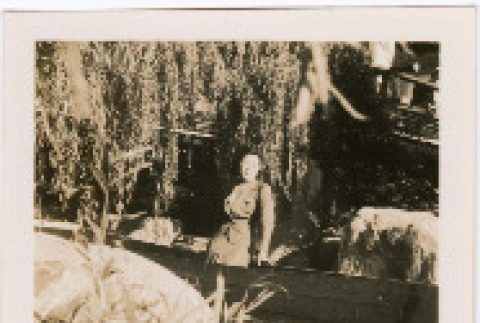 Photo front and back (ddr-densho-426-2117-mezzanine-bd3de04eb9)