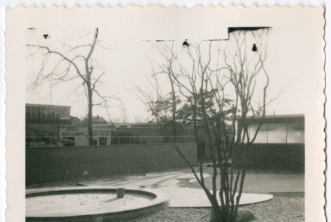 Rock garden with trees (ddr-densho-377-2155)