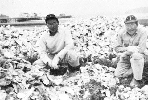 Two men with oyster shells (ddr-densho-15-120)