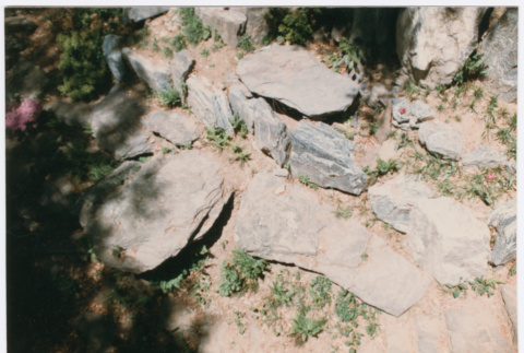 Rock wall detail (ddr-densho-377-1859)