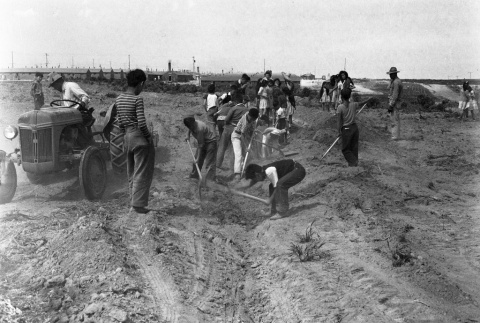 Farmers working in the fields (ddr-fom-1-792)