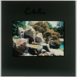 Pool and waterfall at the Cole project (ddr-densho-377-395)