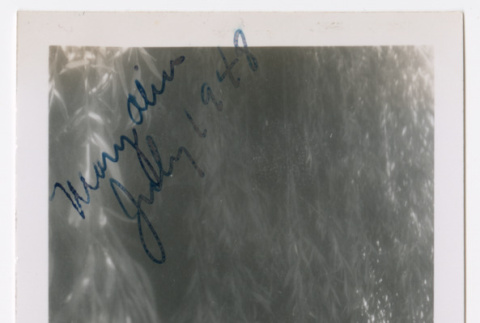 Mary Alice in willow tree, July 1948 (ddr-densho-462-49)