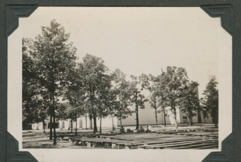 Trees (ddr-densho-545-46)