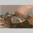 Rocks at a landscaping project (ddr-densho-377-146)