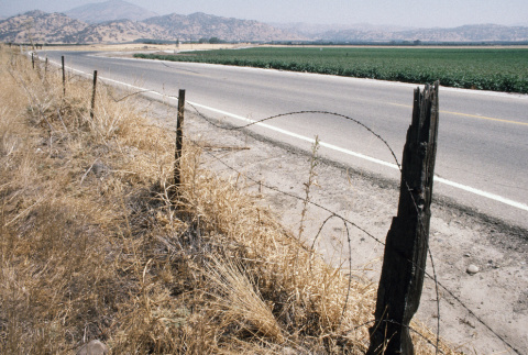 On the road from Fresno to Lake Sequoia (ddr-densho-336-1771)