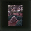 Japanese garden at the Resnick project (ddr-densho-377-1166)