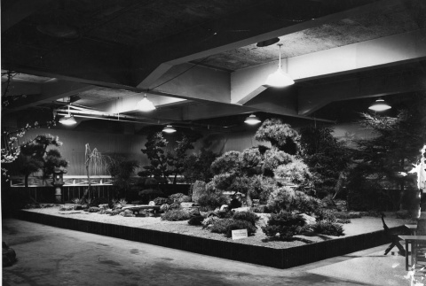 Garden display at Century 21 Expo (ddr-densho-354-40)
