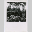 Five people on garden bridge (ddr-densho-329-800)