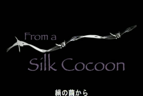 From a Silk Cocoon (ddr-densho-1024-54)