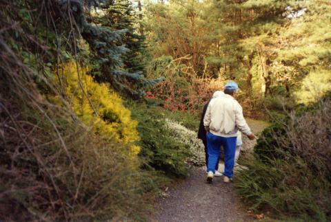 Tom and Amy Kubota walking down the Mountainside (ddr-densho-354-413)