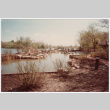 Pond with plants (ddr-densho-377-2097)