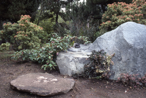 Fujitaro's sitting stone (ddr-densho-354-879)