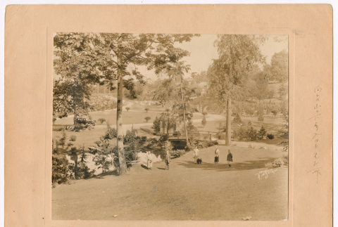 Kubota Garden (ddr-densho-544-13)