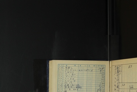Page 389 (ddr-densho-255-18-master-6a04fd775f)