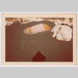 Pond (ddr-densho-377-2215)