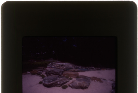 Landscape rocks (ddr-densho-377-707)