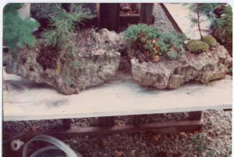 Photo front and back (ddr-densho-534-20-mezzanine-73d47f63a9)