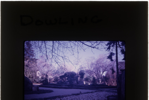 Garden at the Dowling project (ddr-densho-377-687)
