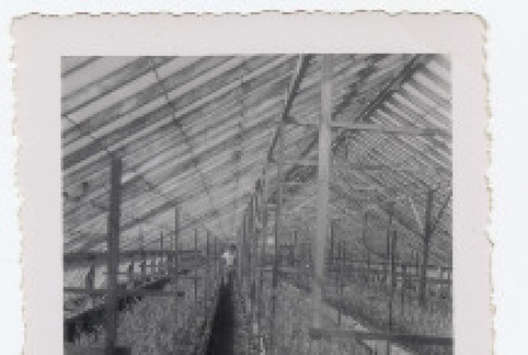 Photograph (ddr-densho-433-566-mezzanine-009b74c2e2)