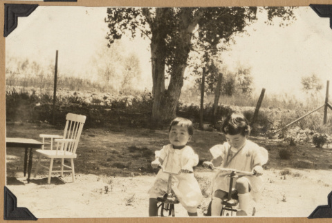 Two toddlers on tricycles (ddr-densho-542-168)