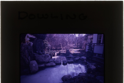 Pond and garden at the Dowling project (ddr-densho-377-688)