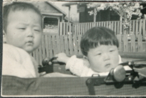 Two children in carriage (ddr-densho-523-115)