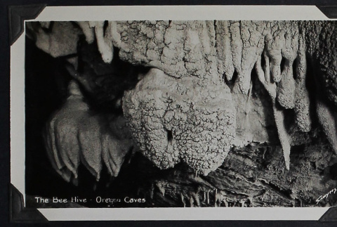 Oregon Caves (ddr-densho-359-1404)