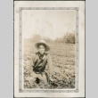 A man gathering crops (ddr-densho-316-58)