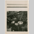Ducks in a pond (ddr-densho-423-486)