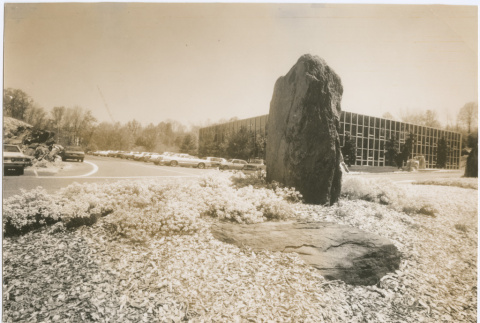 Landscaping at the Schulman project (ddr-densho-377-185)