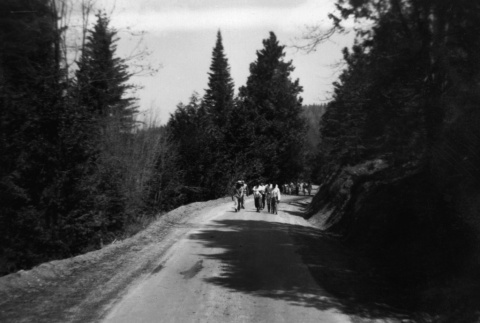 Group of campers hiking up a road (ddr-densho-336-13)