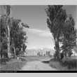 Manzanar landscape (ddr-densho-153-281)
