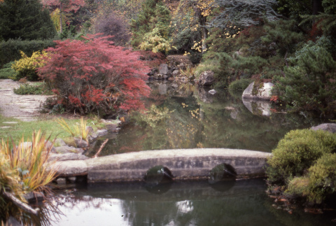 Eyeglass Bridge over Japanese Garden pond (ddr-densho-354-1404)