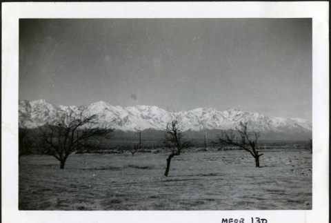 Manzanar area (ddr-densho-343-2)