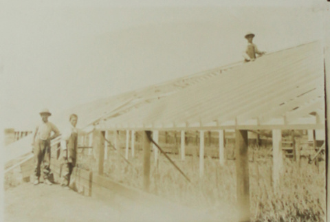 Building greenhouses (ddr-densho-357-685)