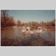 Island and bridge (ddr-densho-377-2302)