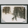 Hisako Nagai in snow (ddr-densho-550-152)